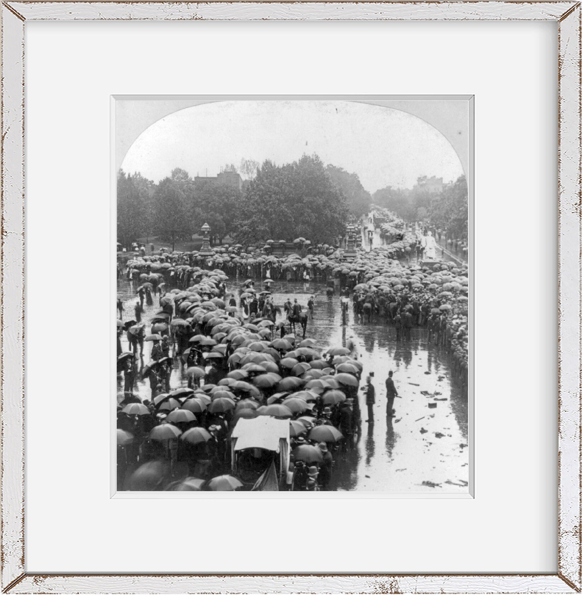 1901 Photo The funeral of President McKinley - crowd waiting for a last look at