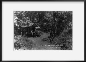Photo: Puerto Rico, 1922, Escena Campestre, people, horse, forest