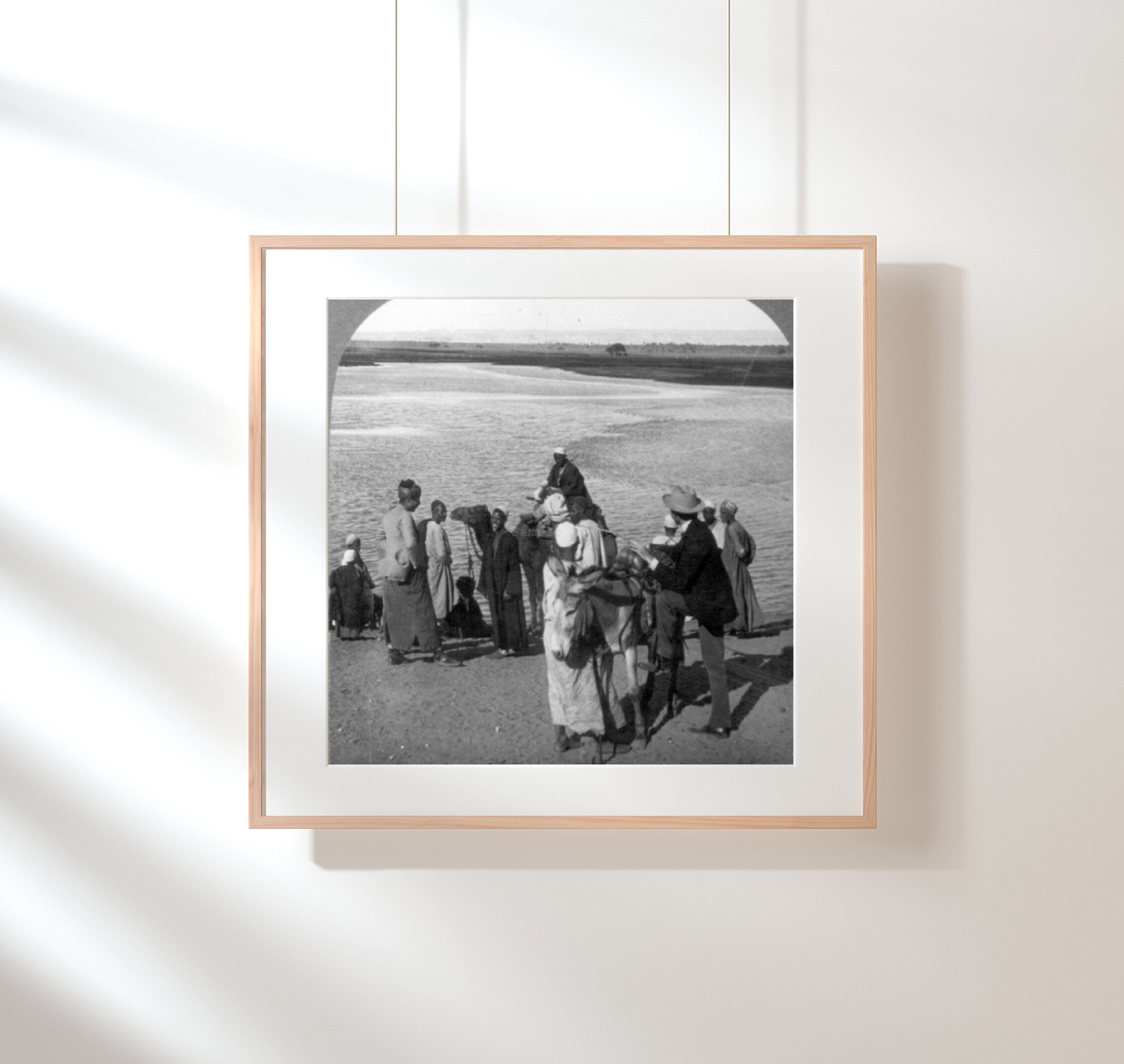 1905 Photo Inundation of the Nile, Egypt Group of people with camel and donkey i