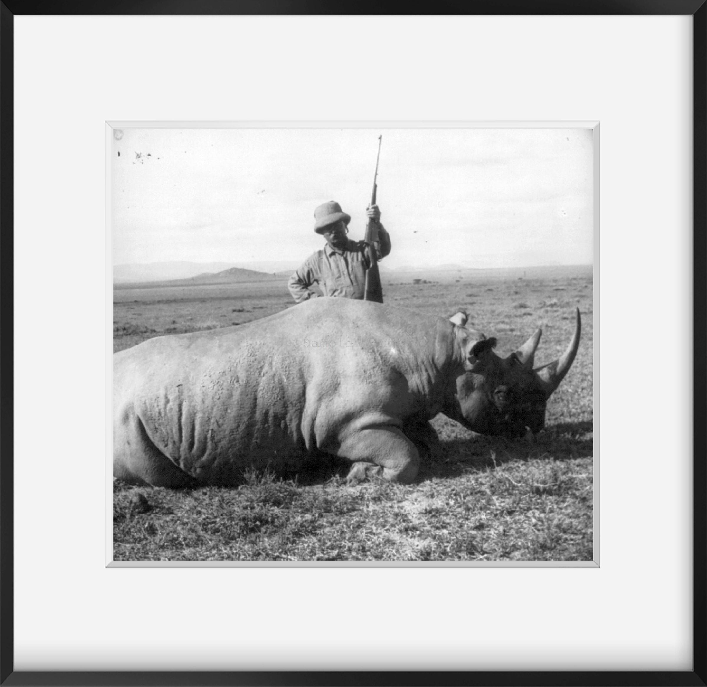 ca. 1909 photograph of Theodore Roosevelt in Africa standing behind dead rhino a
