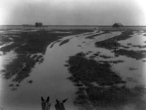 1890 Photo Jackson Ranch--Irrigating alfalfa: filling a check--Kern County, Cali