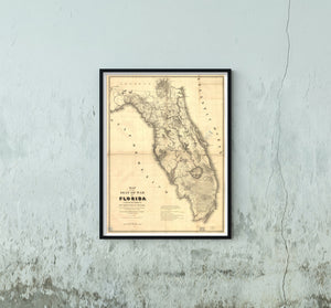 1839 Map|Title: Seat of War|Subject: Florida|Seminole Indians|United States 18 i - New York Map Company