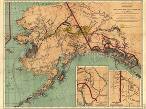 1898 map The gold and coal fields of Alaska: together with the principal steamer routes and trails. Map Subjects: Alaska | Coal | Gold | Steamboat Lines | Trails |