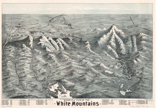 1890 Map Birds eye view of the White Mountains - 18x24 - Ready to Frame - New Ha